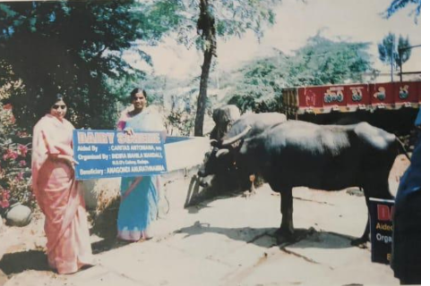 Environmental awareness and sustainability